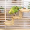 Bite Resistant Hamster Wooden Ladder Wall Mounted Hamster Climbing Toy  Enrichment Activity