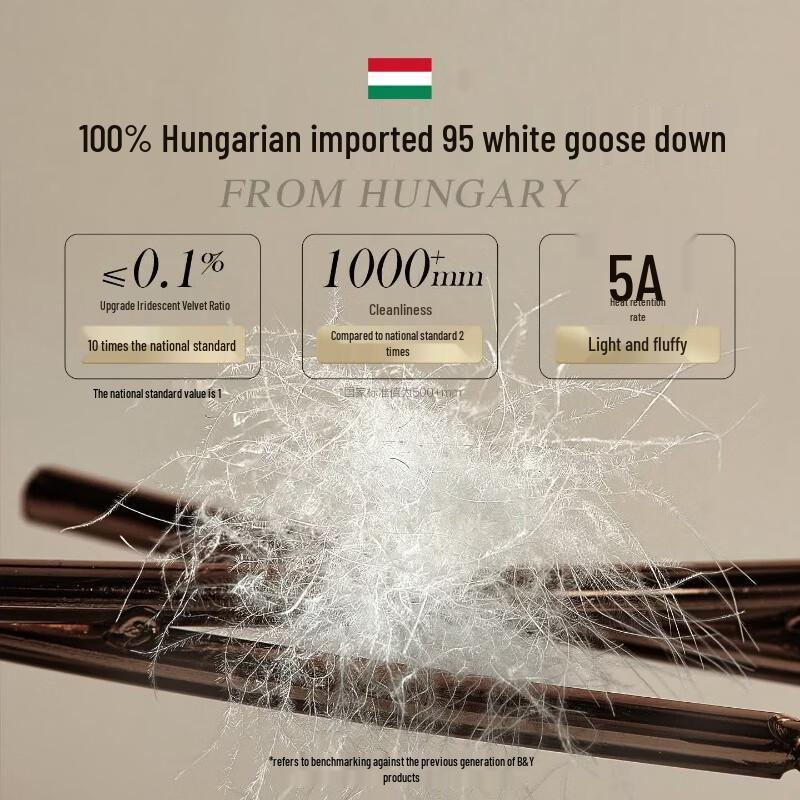 Beyond 95% Hungarian White Goose Down All-Season Quilt