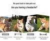 Pet Travel Backpack: Ventilated & Breathable Double Shoulder Bag for Dogs - Perfect for Biking & Shopping