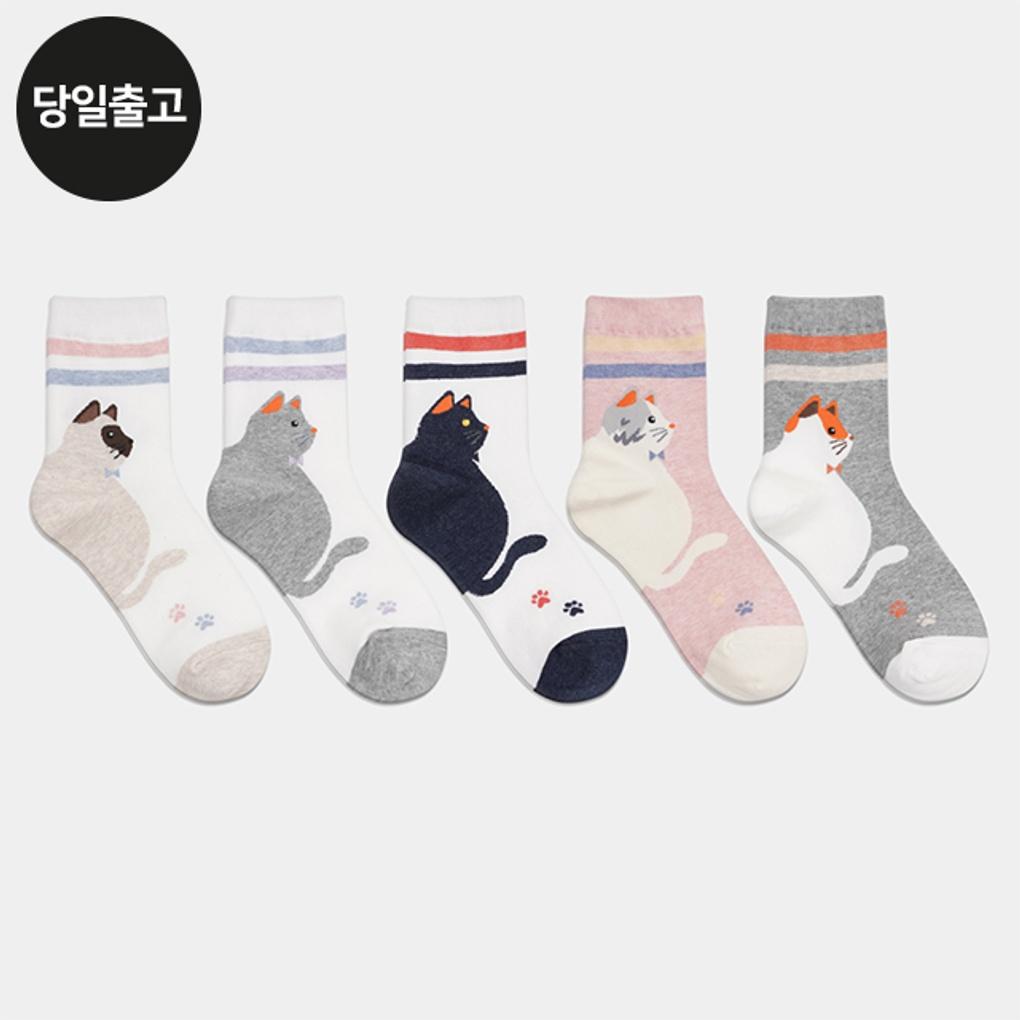 

PG Women s/Student Big Cat Mid-Calf Socks (5 Pairs) Set Daily Student Girls Fashion
