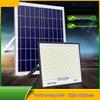 Li Shen 4-in-1 Solar Floodlight