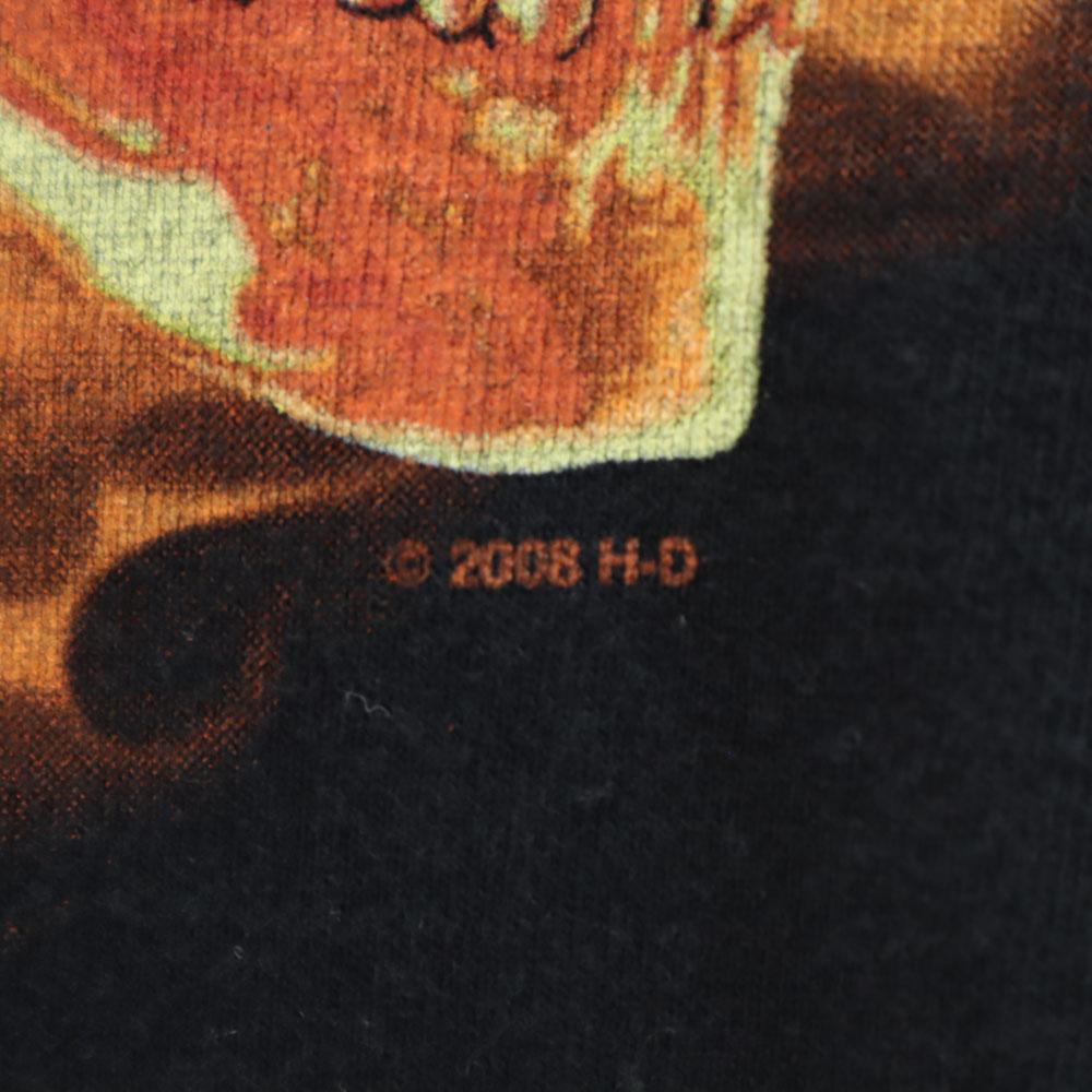 HARLEY DAVIDSON 00s Skull Long sleeve T-shirt M black Ron T Men's Used