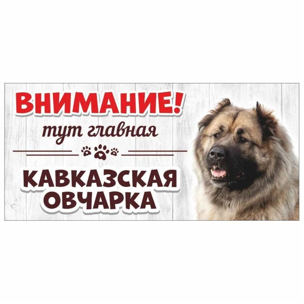 Evil Pomeranian Spitz Sign, Metal Fence Door Plaque 30x15cm