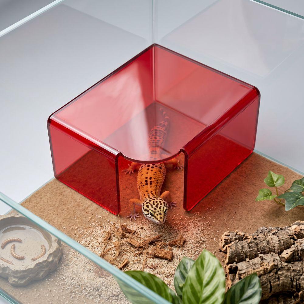 Translucent Lizard Acrylic Shelter Breathable Visible Shelter House  Terrarium Decoration