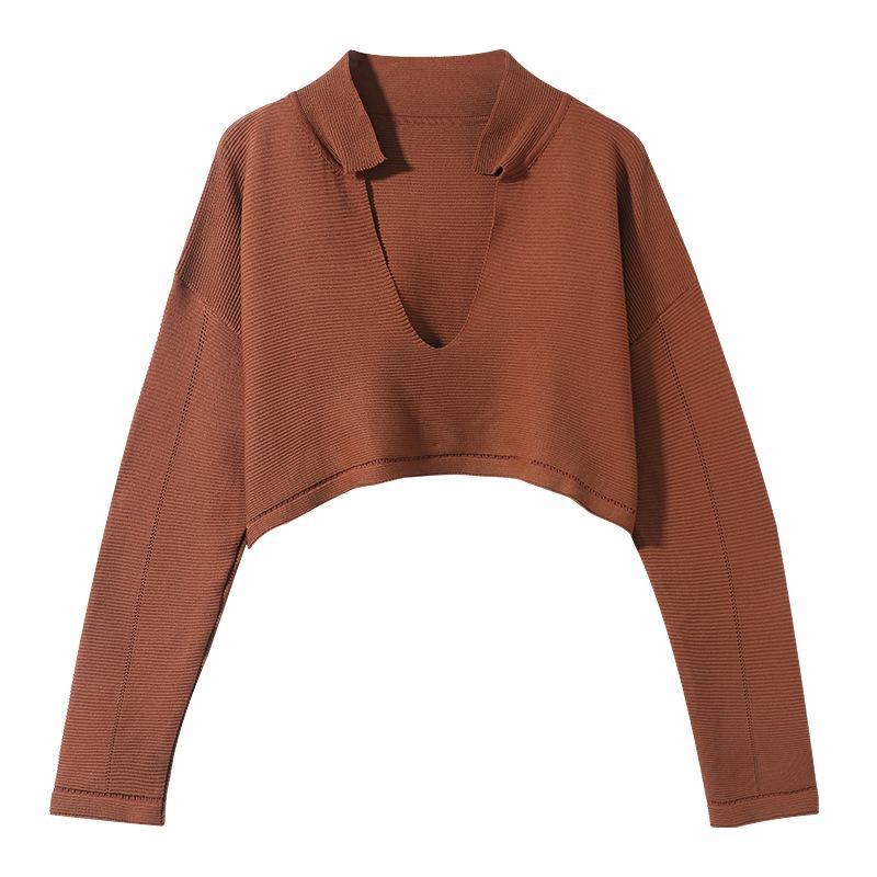 V-neck Sweater for Women In Autumn New Korean Version Long-sleeved Sweater Short Student Thin Versatile Top