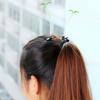 5ks Funny Plant Hairpin Flower Butterfly Sprout Sponky do vlasů pro děti, dívky, ženy