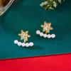 New Elegant Shiny Rhinestone Snowflake Drop Earring for Women Shiny Crystal Zircon Flower Dangle Earring Christmas Party Jewelry