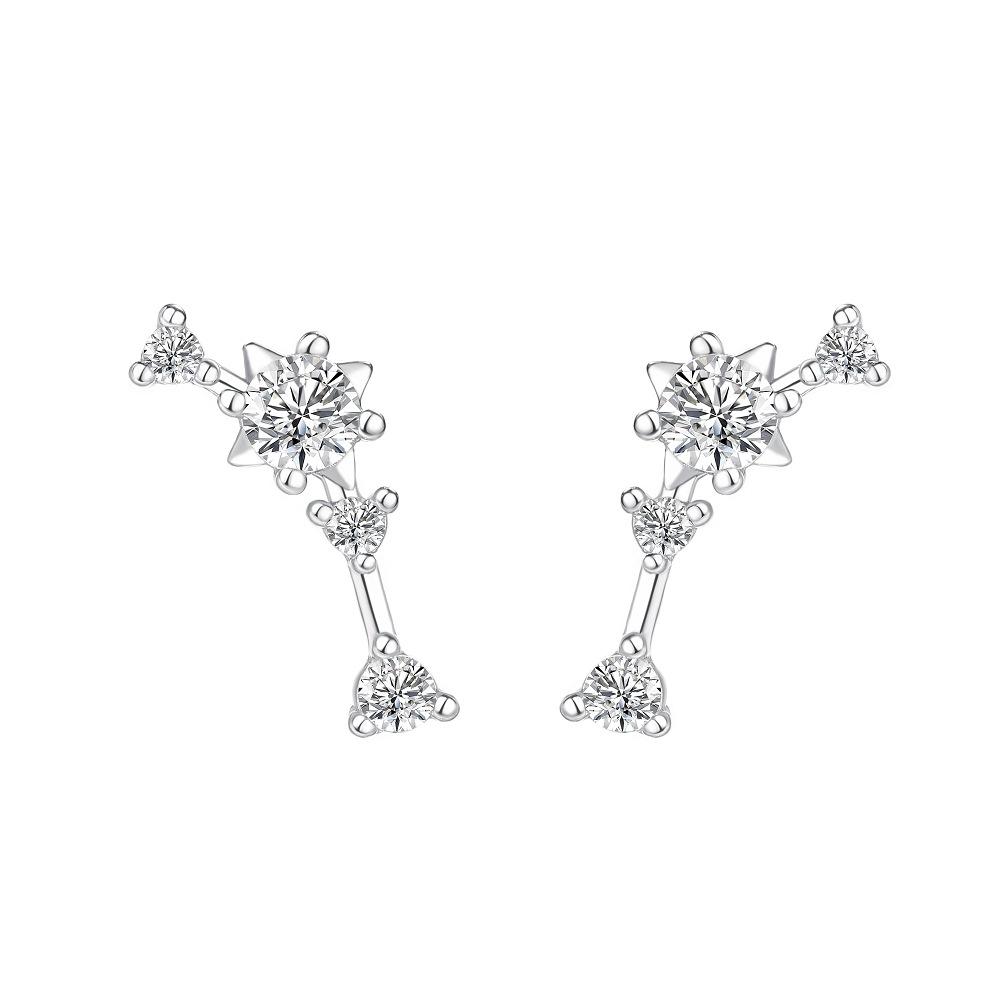 Korean Fashion Twelve Constellation Earrings for Women S925 Sterling Silver Exquisite Sparkling Zircon Earrings