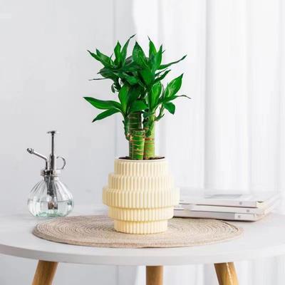Kunststoff-Pflanztopf Selbstbewässernder Pflanztopf Automatischer Fauler Topf für Topfblumen Hydroponischer Blumentopf Kreative Bürodekoration