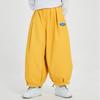 Oversized Waterproof Windproof Ski Pants Men Winter Snowboarding Loose Fit Casual Sport Trousers