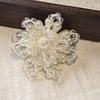 Dopamine  Beaded Jelly Shoes Sandals Accessory Diy Decorative Shoe Flower Slippers Shoe Buckle Accessories