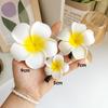 5/7/9cm Květinová sponka do vlasů Korejská sponka na rozcuchané vlasy ofinu Dívčí vlasové doplňky Svatba Párty Taška Klobouk Doplňky