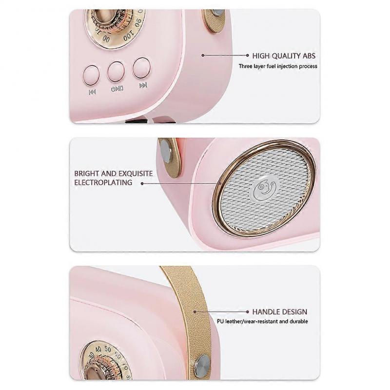 Kinder Karaoke Maschine mit Mikrofon, Tragbarer Bluetooth Lautsprecher Kabelloser Subwoofer für Kinder Geburtstag Weihnachtsgeschenk