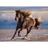 1000 Piece Puzzle - Clementoni - Wild Horse - Animals - Single Color