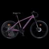 PHOENIX Mountainbike