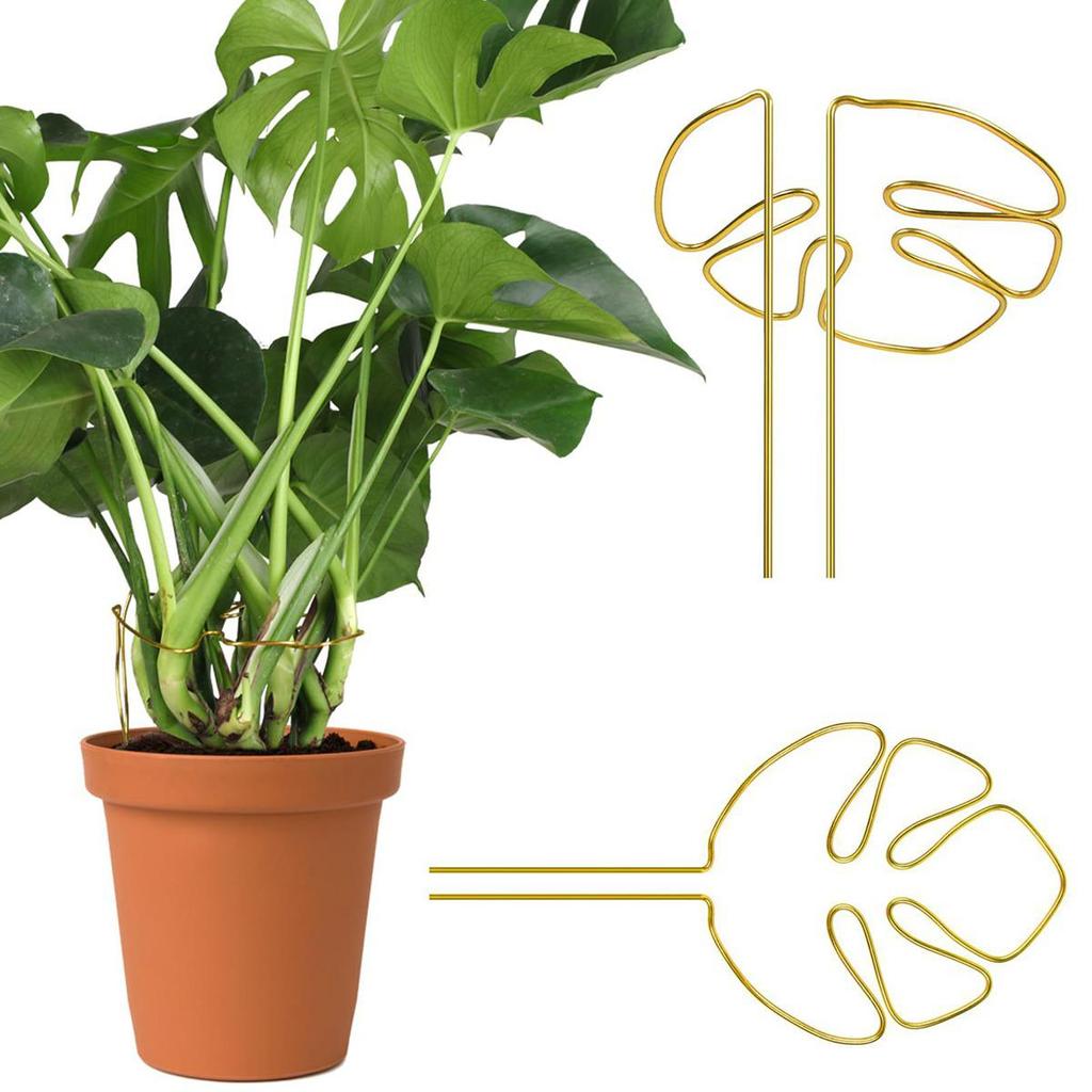 Monstera-Shaped Plant Support - Popular Design