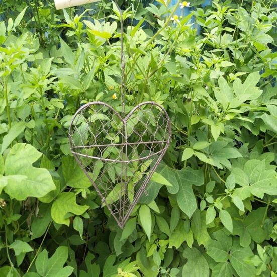 Hanging Plant Holder Heart Shape Iron Wire Succulents Holder Plant Hanger Wreath Frame Plant Grow Basket for Succulents Air Plants