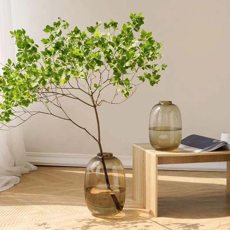 Minimalist Large Belly Glass Joy Vase for Hydroponic and Indoor Green Plants, Japanese Style