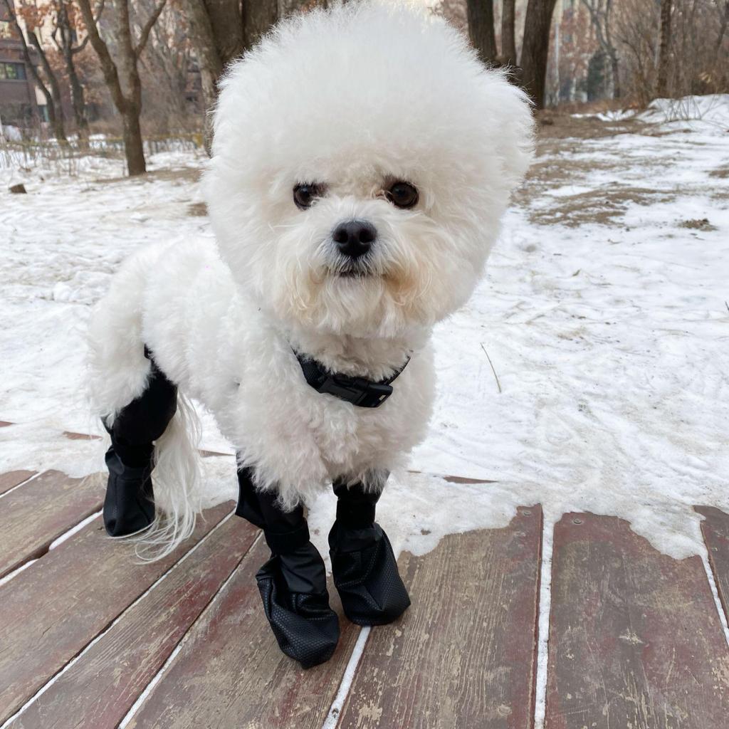 All-Season Ultra-Light Dog Shoes - Secure, Dirt-Resistant, Full Coverage Rain Boots for Small Pets