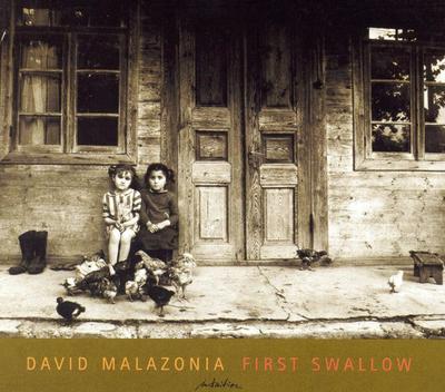 CD DAVID MALAZONIA - First Swallow INT33522 Intuition Recor 2004 Allemagne Jazz Occasion