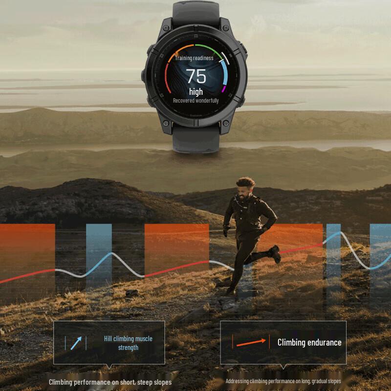 Garmin FenixE GPS Smartwatch (CN version)