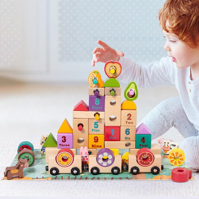 Fruit Wooden Educational Train Building Blocks For Digital English Toy Cognition