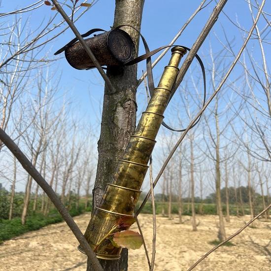 Brass Telescope Premium Handcrafted Leather Cover Engraved Isaiah 40:26 cm  Stargazing Gift Astronomy Decor Gift For him