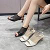 Fashion Fish Mouth Fashion Sandals High Heeled 2025 Summer Open Toes Hollow Breathable Comfortable Coarse Heels Outdoor Beach Cool Pumps