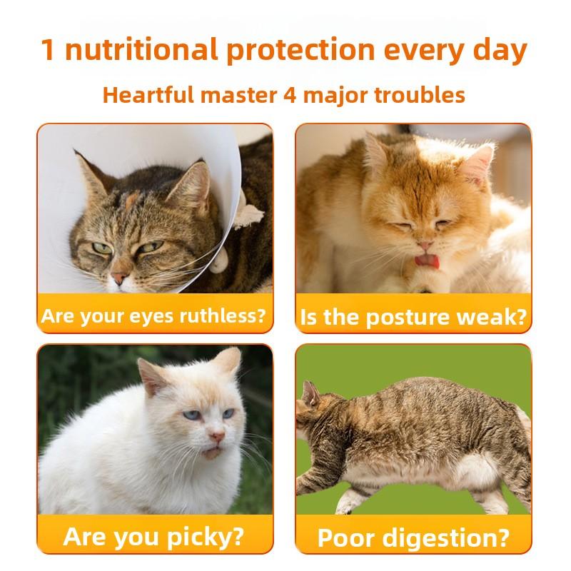 Cat Strips Cat Snacks Lick Cat Strips Wet Cat Food Nutritious Meat Puree Fresh and Fragrant Meat Cat Snacks