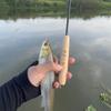 1BUC 1.2/1.5/1.8/2.1M Carbon Mică Lansetă de Pescuit Portabilă Ușoară Mini Feedere pentru Râuri Cârlig Manual pentru Creveți Pentru Copii Începători
