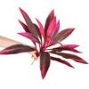 12 Leaves/18 Leaves Simulation Dragon Tree Branch Faux Brazilian Wood Plant  Desktop Ornament
