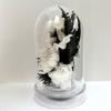 First New Offering Memorial Buddhist Memorial Preserved Flowers that never in a dome case Dome Obon, Obon, Obon, Flowers, Flowers, Obituary,