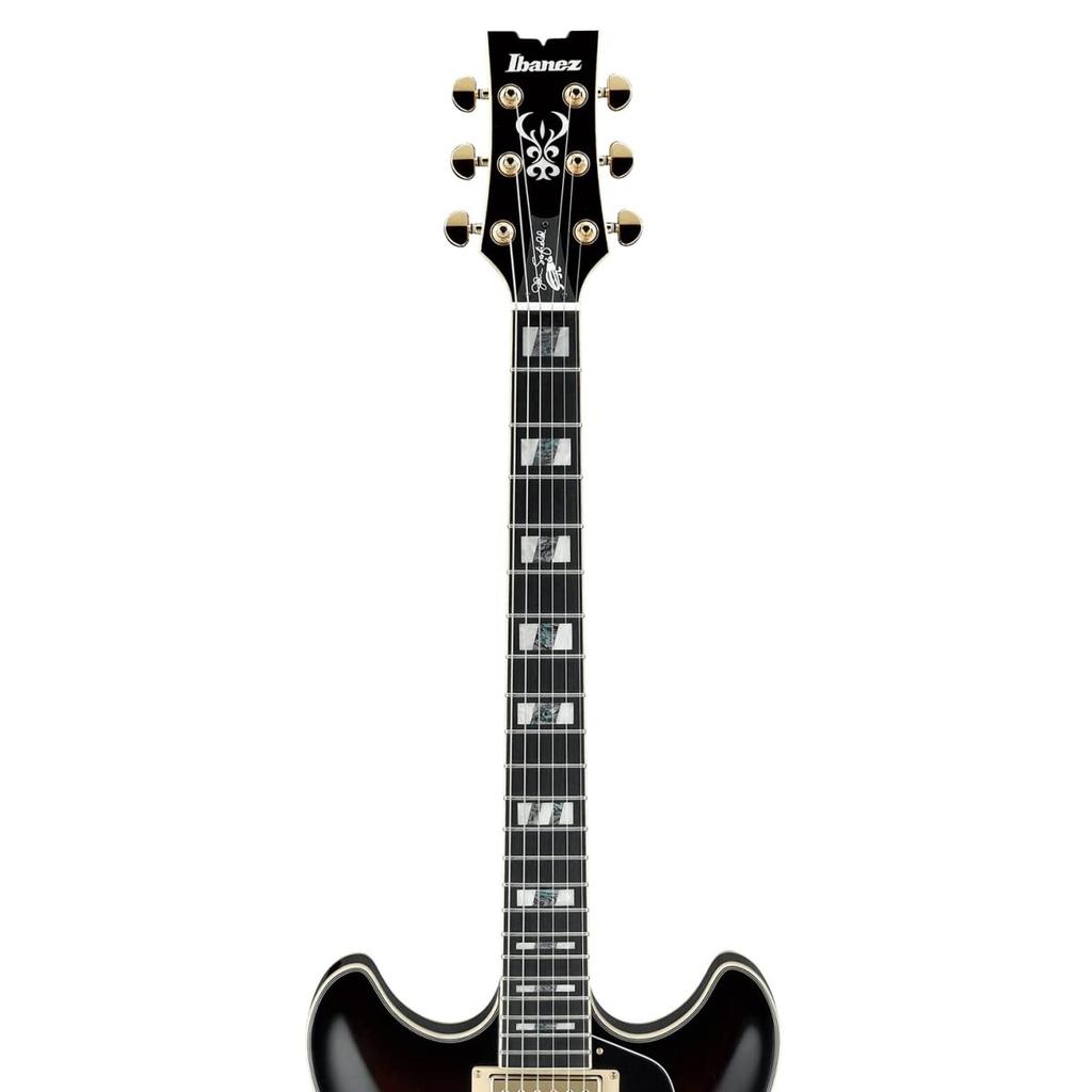 IBANEZ /John Scofield Signature Model JSM10-VYS Vintage Yellow Sunburst (VYS)