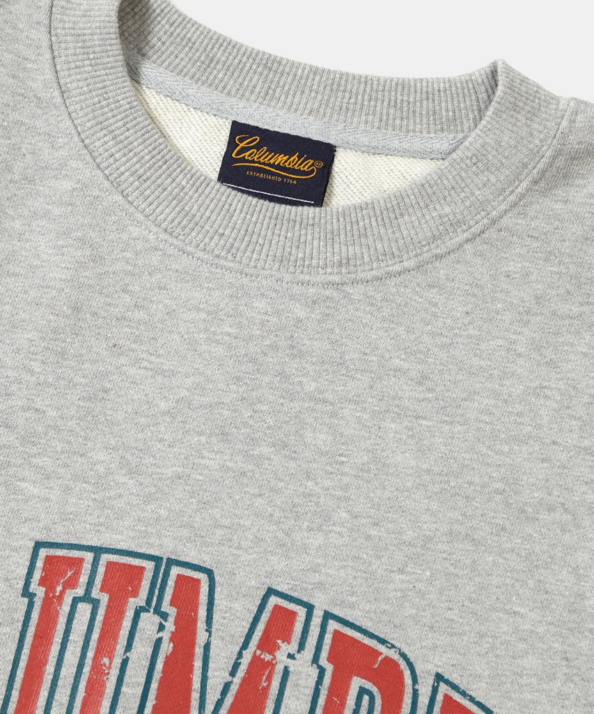 COLUMBIA UNIVERSITY Vtg Big Crack Heavy Terry Crew Neck_M.Gray