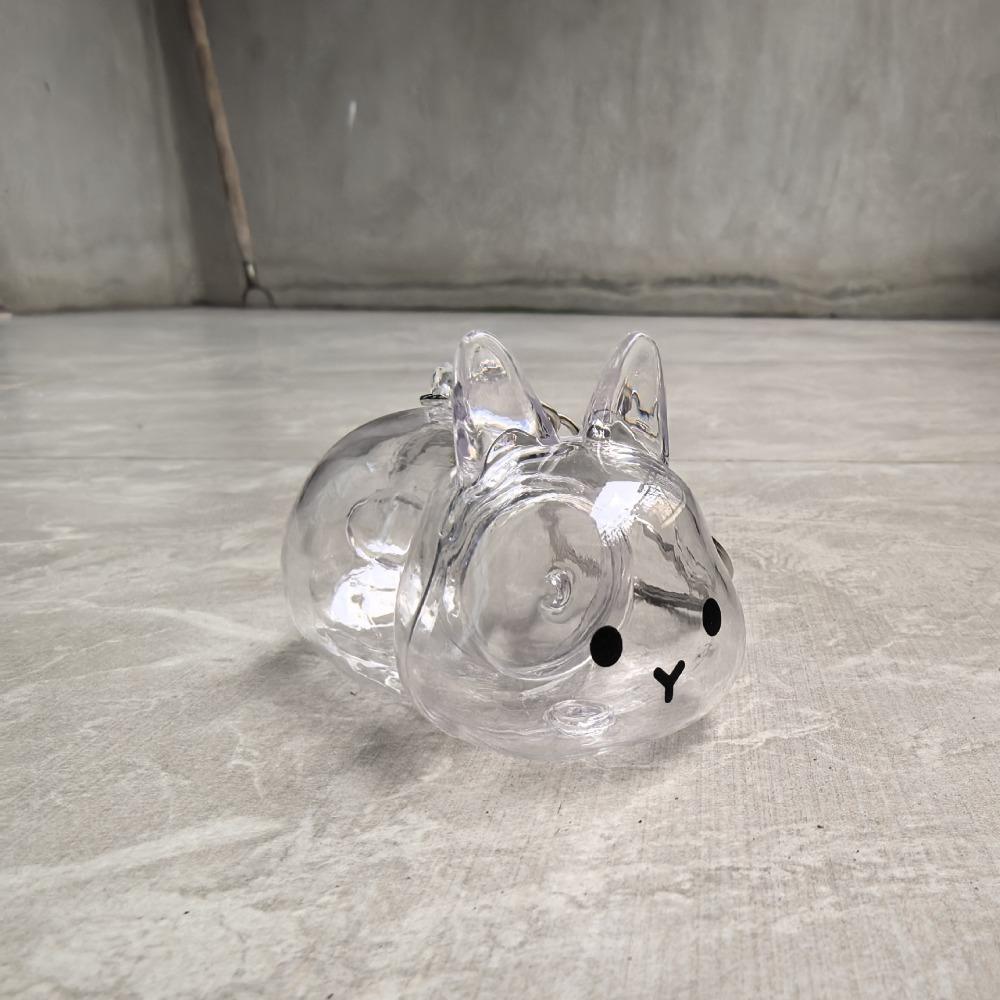 Hair Container Rabbit Hair Collector Transparent Rabbit Hair Storage Box  Jewelry Gifts