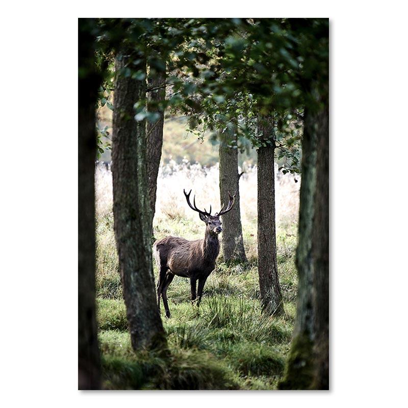 Winter Snow Forest Deer Owl Sunlight Landscape Painting Nordic Morning Scenery Canvas Poster Print Art Wall Pictures Home Decor