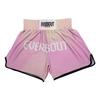 Martial Arts Shorts Men Women Kids Digital Print Muay Thai Boxing MMA Sanda Training Competition Pants