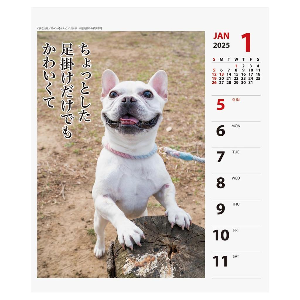 2025 Petcha Senryu (Weekly) Calendar No.026