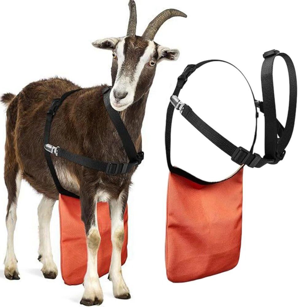 Wear Resistant Breeding Control Goats Skirt Anti Mating Sheep Skirt Livestock Management