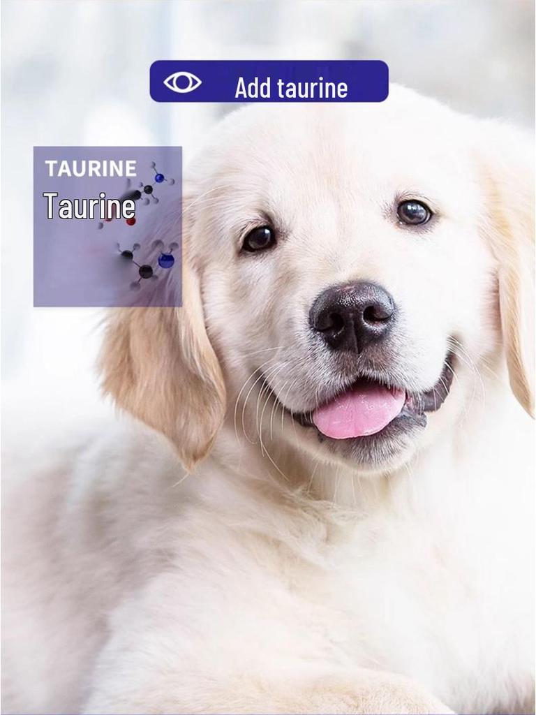 Isha Oga Teddy Golden Retriever Adult Dog Food, Milk Cake Flavor, 20kg (40lbs)