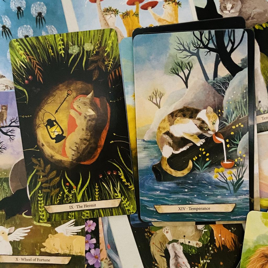 Enchanted Forest Felines Tarot Deck 78 Pcs Wait Tarot Cards Experience The Power of Cat-omancy - 10.3*6cm