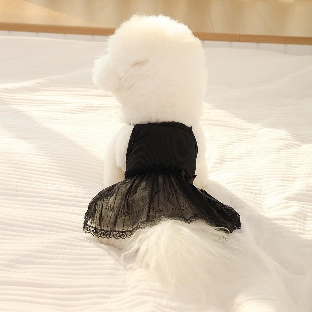 Lace Detail Dog Skirts Princess Style Dog Clothing Princess Pet Dresses for Cats