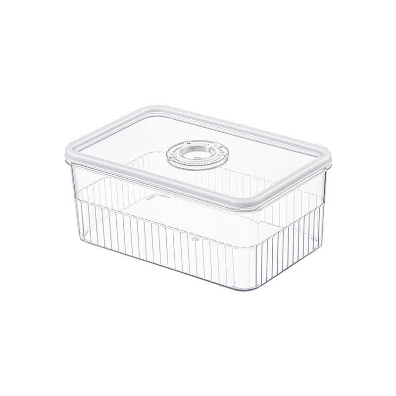 JingJingRS Medium Plastic Refrigerator Storage Box with Timer