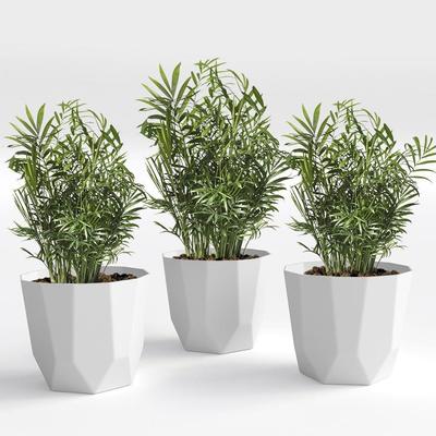 Pot de fleurs hexagonal en plastique avec trous de drainage Pot de jardinière rond Adapté pour l'intérieur l'extérieur la cuisine le jardin (Blanc, 12 POUCES - 3 Pièces)