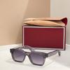 PALM JACQUES International Trade Order Luxury Designer Photochromic Sunglasses JMM MOLINO