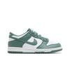 Nike Dunk Low GS 'Bicoastal' HF4798-100