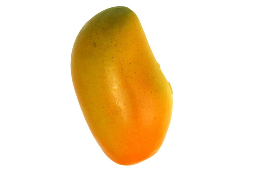 Speed Mao Lifelike Mango Food Set of 5 Samples,