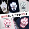 Recording, Sticker, Paw Seal, 3.5 x 3.1 inches (9 x 8 cm), Vehicle with