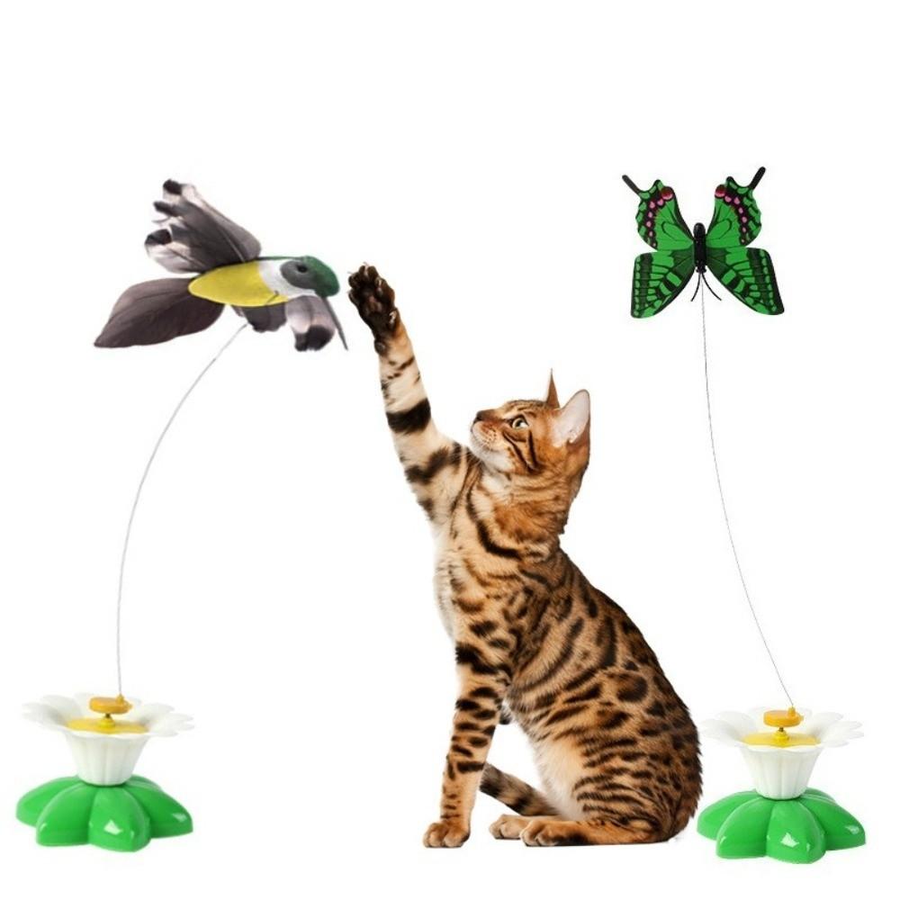 Zufällige Farben Kolibri Intelligenzspielzeug Schütteltraining Haustierspielzeug Neues Schmetterling Katzenspielzeug Haustier