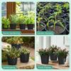4/5/6Inch Plastic Plant Flower Pots Cultivation Seeds Growing Container with Drainage Holes for Seedling Cutting Transplanting